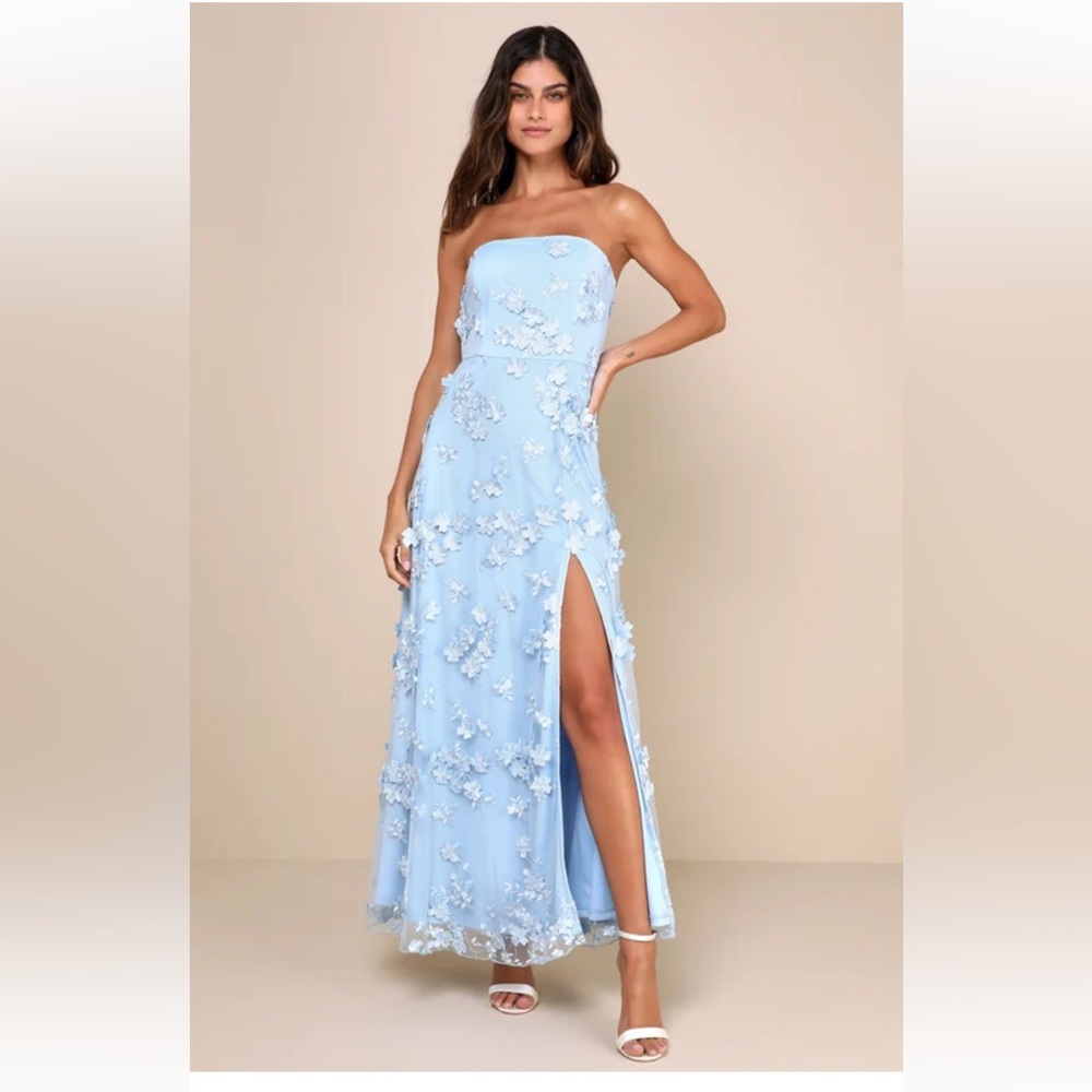 NWT Rare Presence Powder Blue 3D Floral Embroidered Maxi Dress size S